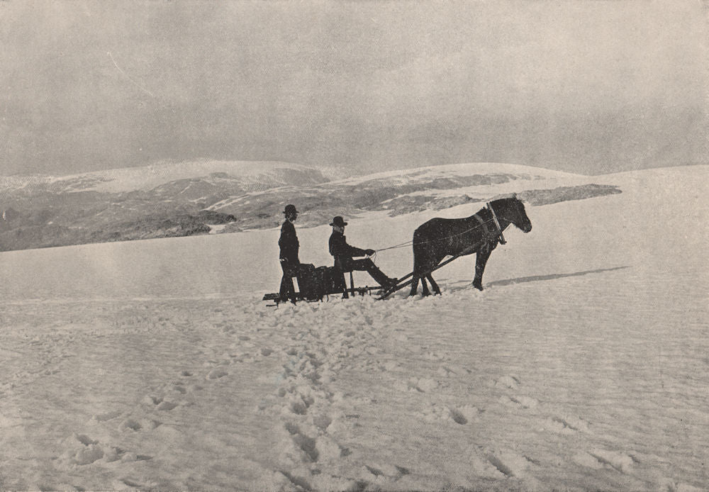 FOLGEFONNA. Sleighing over the Folgefonna Glacier. Norway 1895 old print